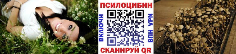 Псилоцибиновые грибы мицелий Купить закладки Куровское