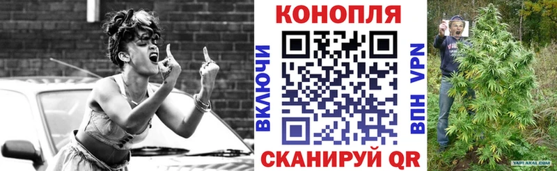 Купить  Куровское  Бошки Шишки MAZAR 